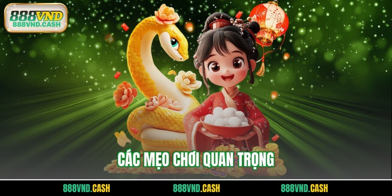 Các mẹo chơi quan trọng